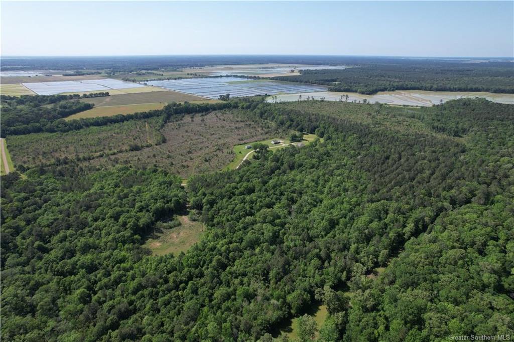 606 Broadwing Ranch Road Elton, LA 70532 - Photo 43 of 46