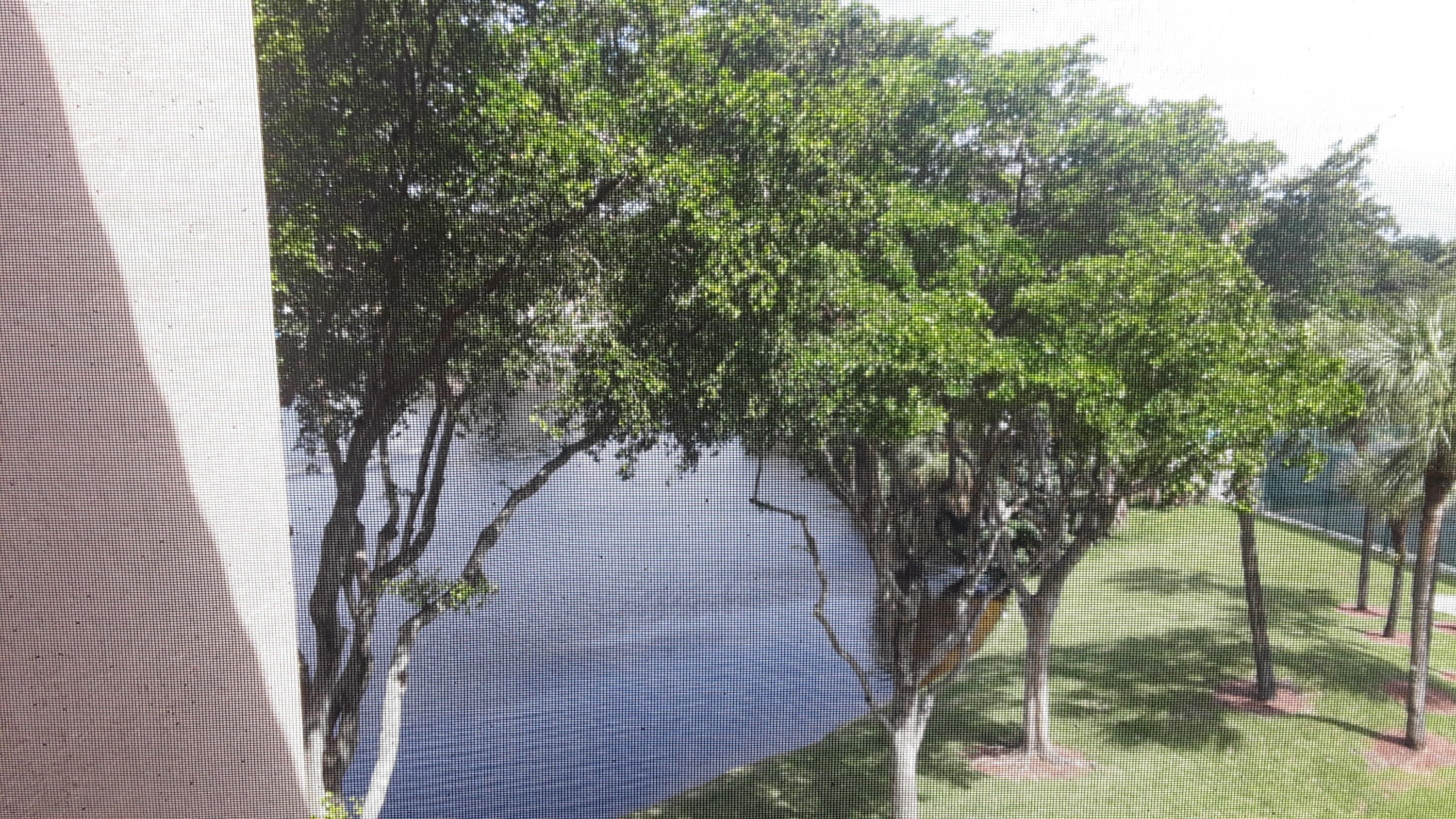 955 Dotterel Road, Unit 2408 Delray Beach, FL 33444 - Photo 18 of 25 View