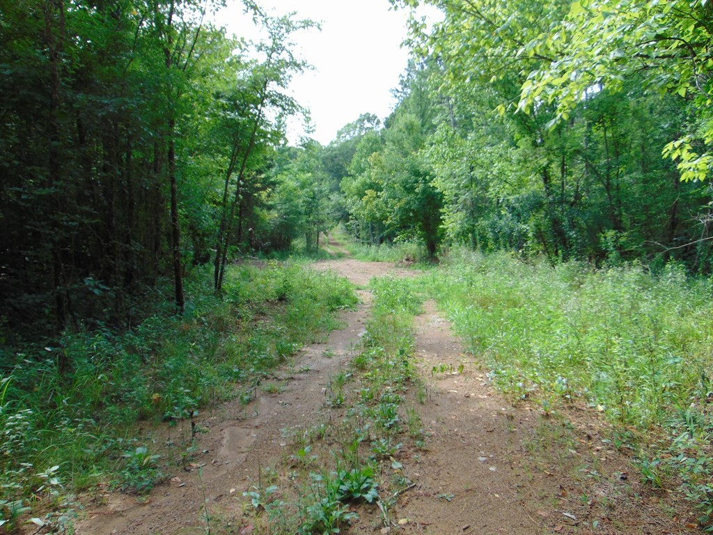 0 Pinhook Road Delano, TN 37325 - Photo 30 of 35
