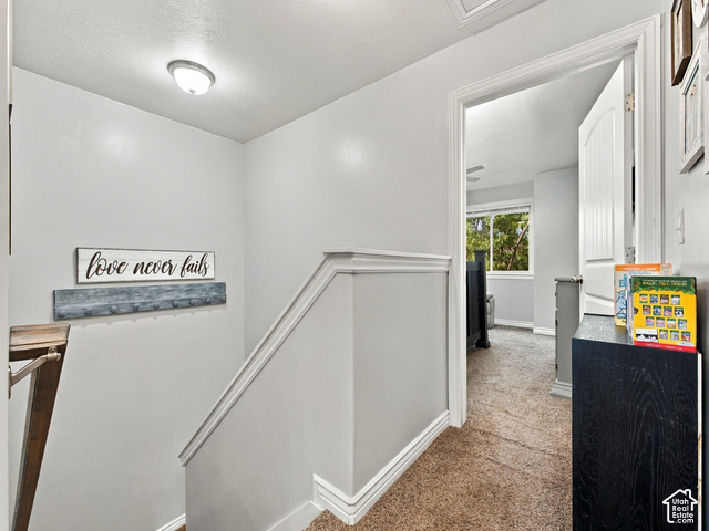 40 Ginger Gold Road Santaquin, UT 84655 - Photo 13 of 32 Upper-level hallway with neutral wall paint, carpet flooring, and white trim