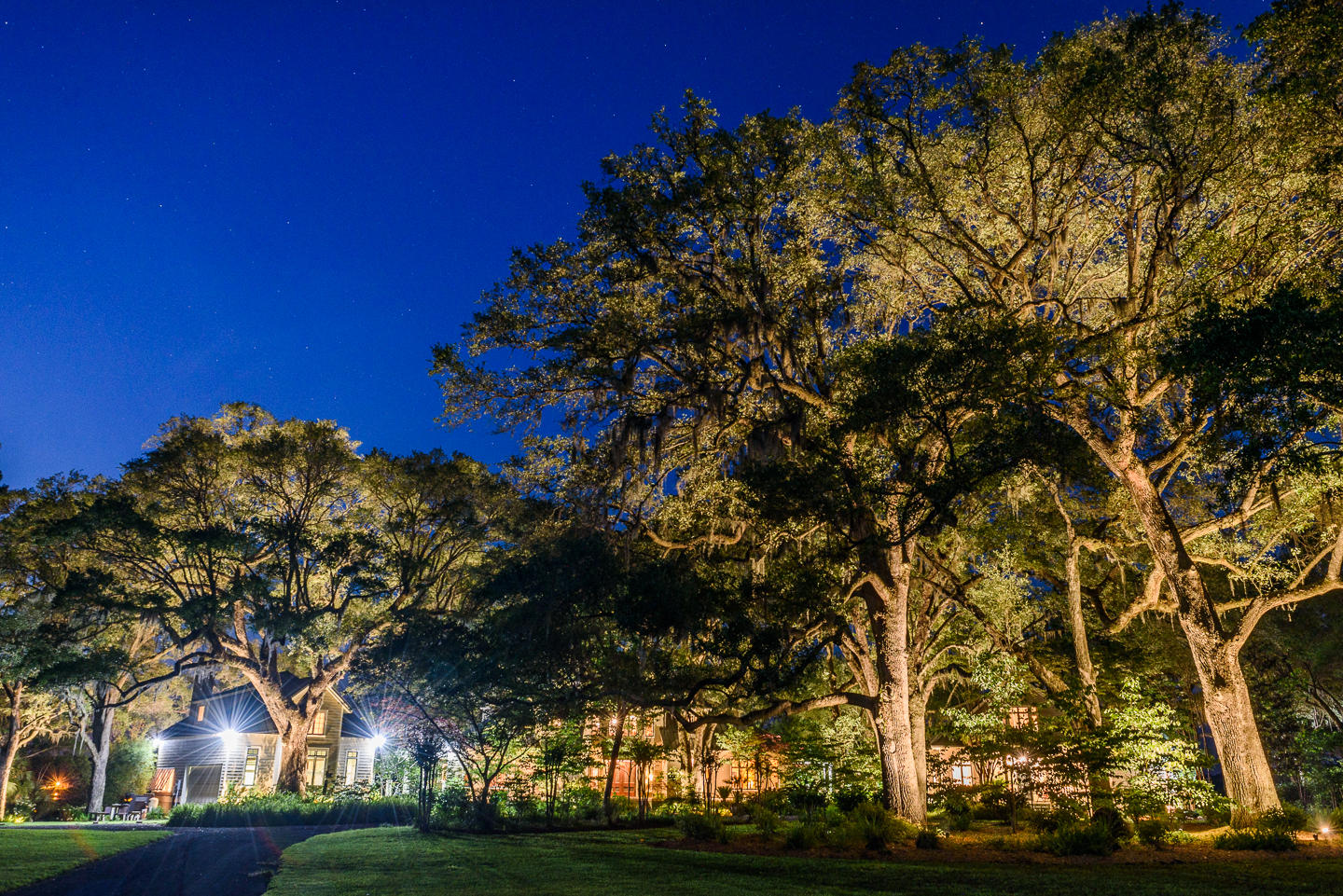 4436 Wando Farms Road Mount Pleasant, SC 29429 - Photo 15 of 66 WandoFarmsPhotos-61