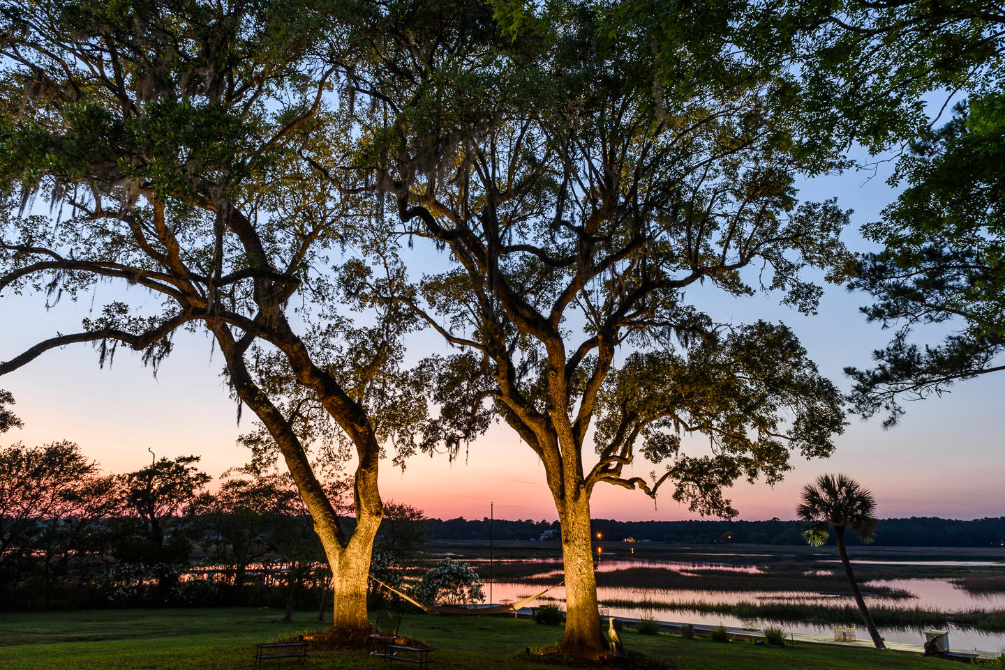 4436 Wando Farms Road Mount Pleasant, SC 29429 - Photo 6 of 66 WandoFarmsPhotos-54