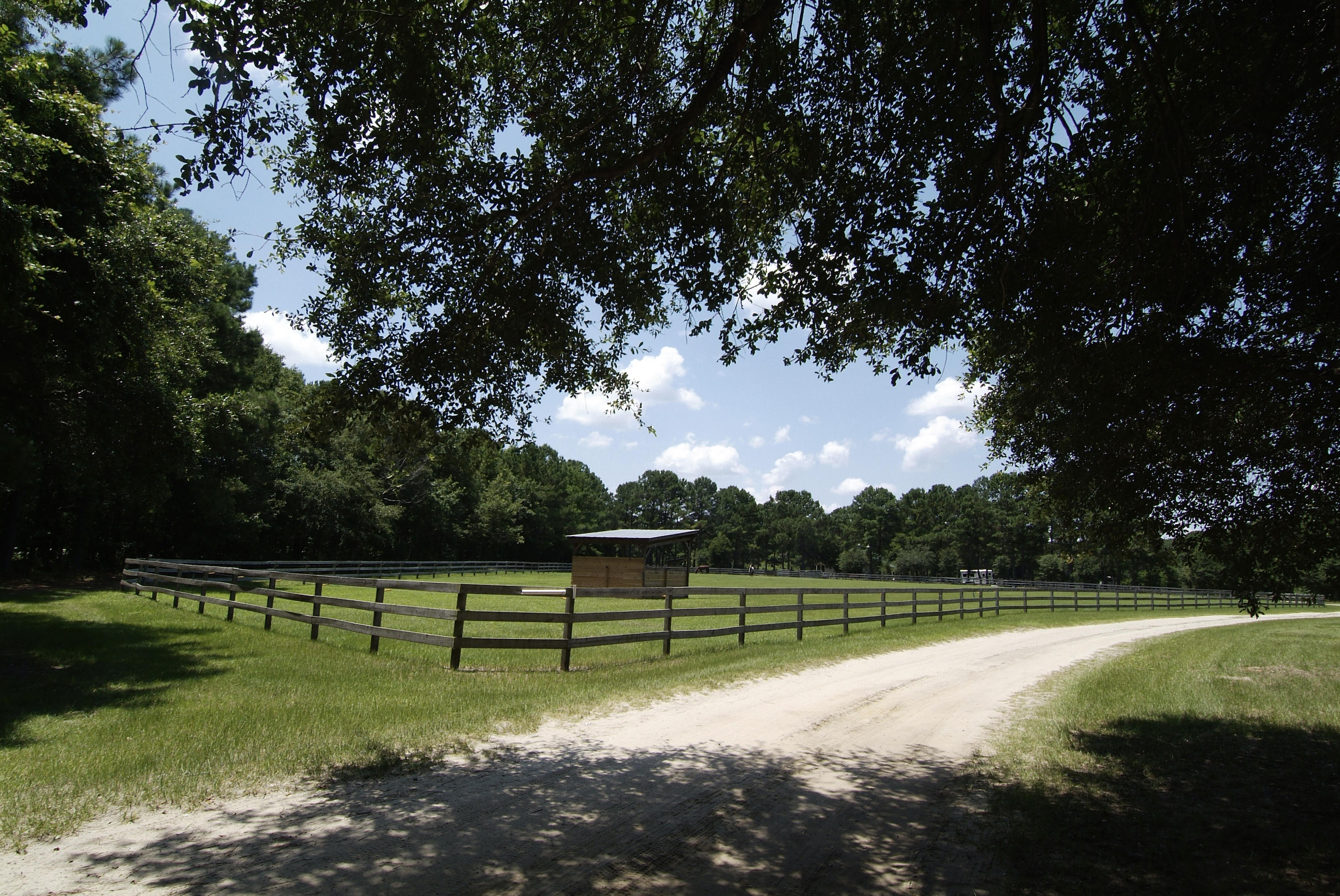 4436 Wando Farms Road Mount Pleasant, SC 29429 - Photo 58 of 66 71