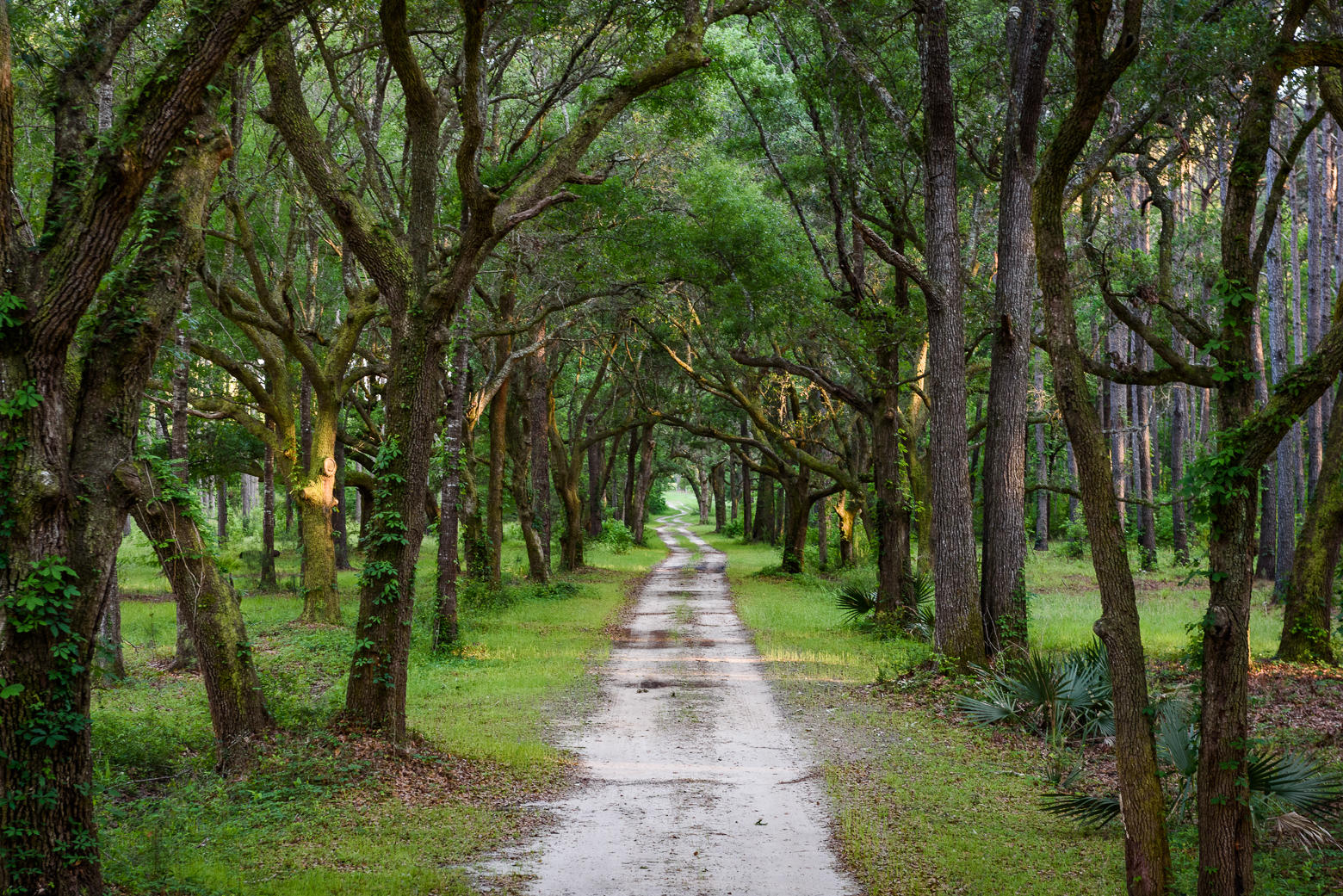 4436 Wando Farms Road Mount Pleasant, SC 29429 - Photo 7 of 66 2