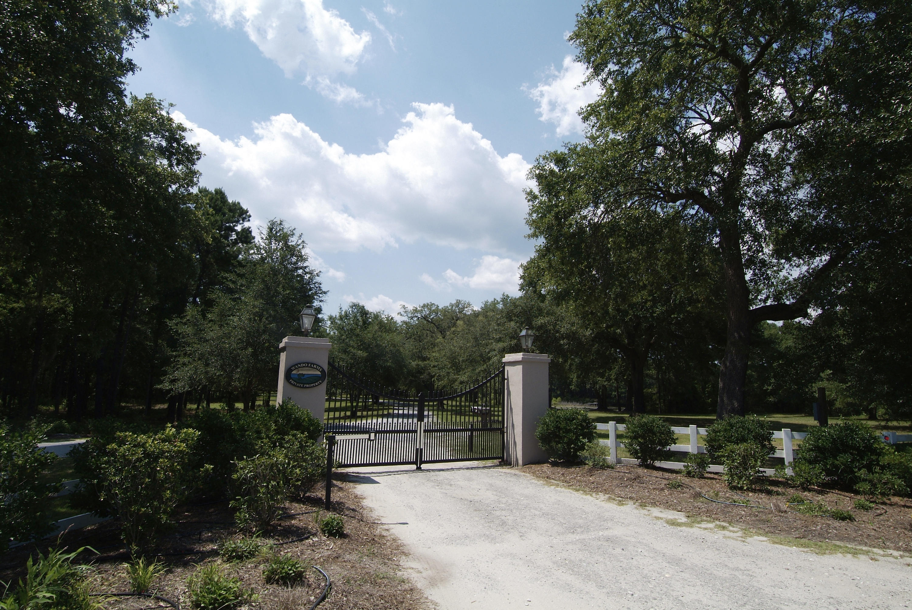 4436 Wando Farms Road Mount Pleasant, SC 29429 - Photo 65 of 66 78