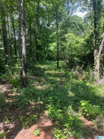 $99,000 | 385 Carr Road, Alpine, AL 35014