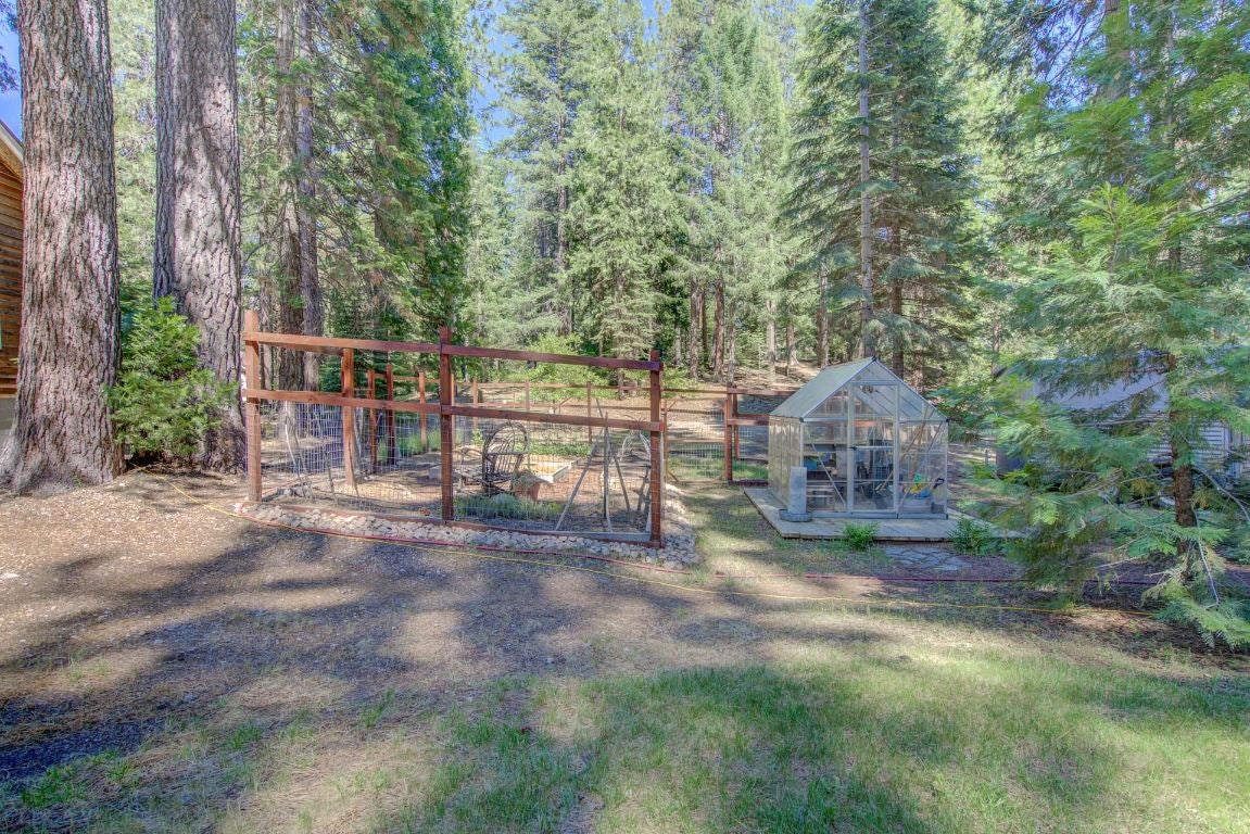 826 Davis Place Road Mount Shasta, CA 96067 - Photo 32 of 32 Gallery Image 32