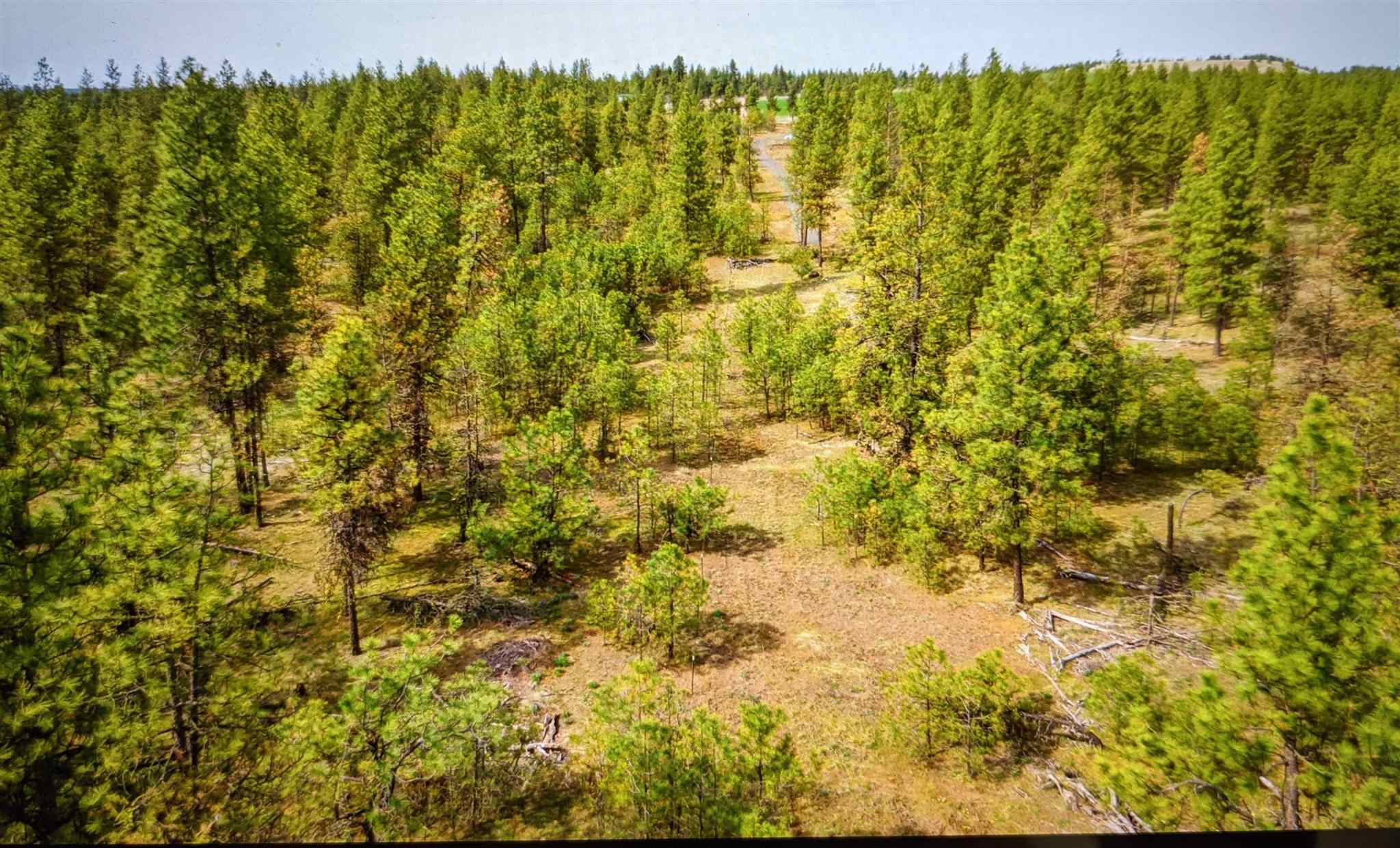 Unknow South Malloy Prairie Road Spokane, WA 99224 - Photo 1 of 1