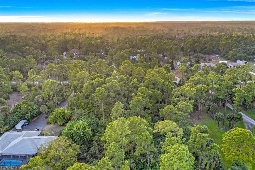 1970 17th Street Southwest Naples, FL 34117 - Photo 15 of 17 an aerial view of residential houses with outdoor space
