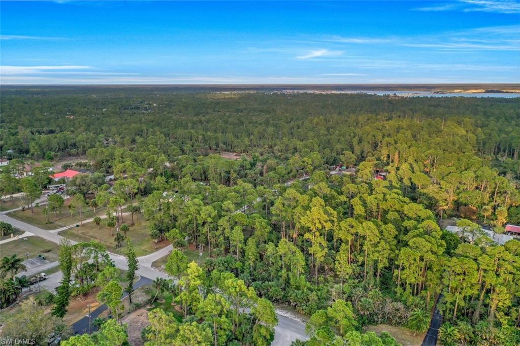 1970 17th Street Southwest Naples, FL 34117 - Photo 17 of 17 a view of yard with ocean view