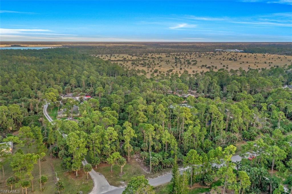 1970 17th Street Southwest Naples, FL 34117 - Photo 3 of 17 a view of a city with lush green forest
