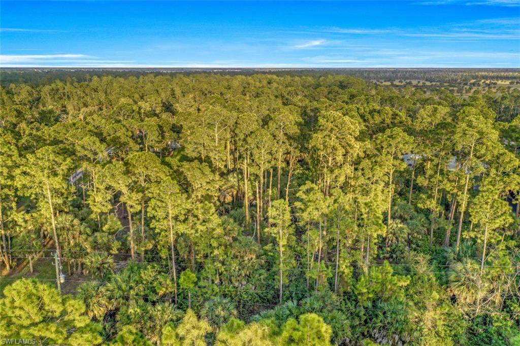 1970 17th Street Southwest Naples, FL 34117 - Photo 9 of 17 a view of an outdoor space and window