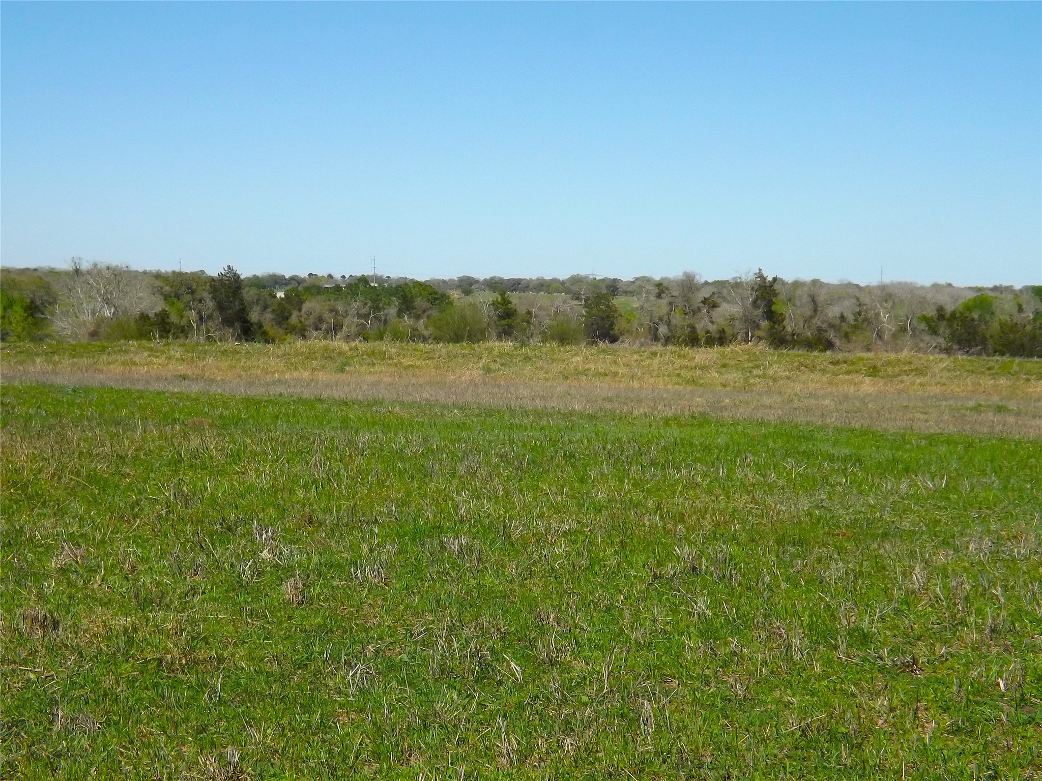 1649 County Road 209 Weimar, TX 78962 - Photo 16 of 27 a view of a field with an ocean