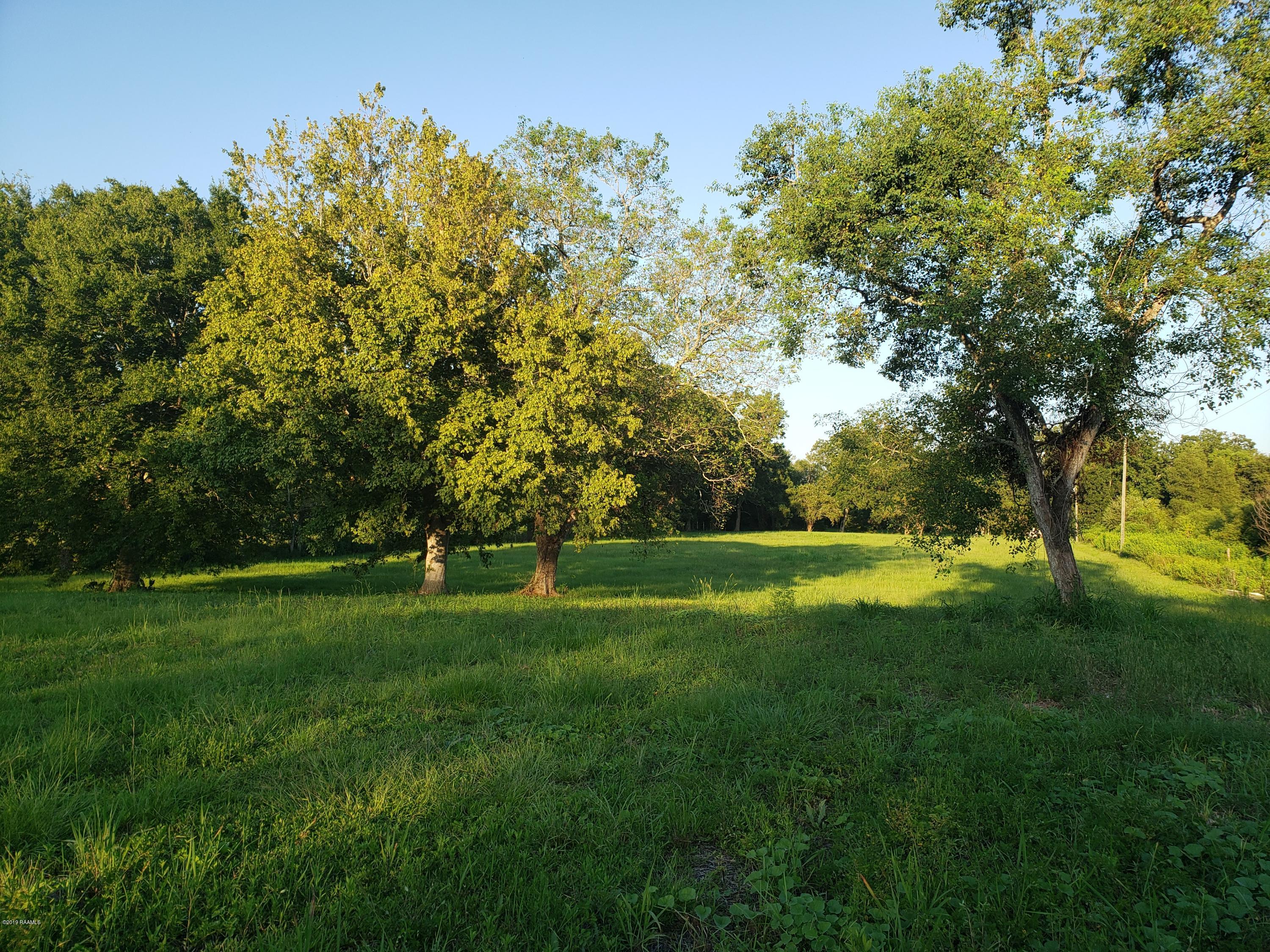 1272 George Dupuis Road Breaux Bridge, LA 70517 - Photo 1 of 3 Gallery Image 1