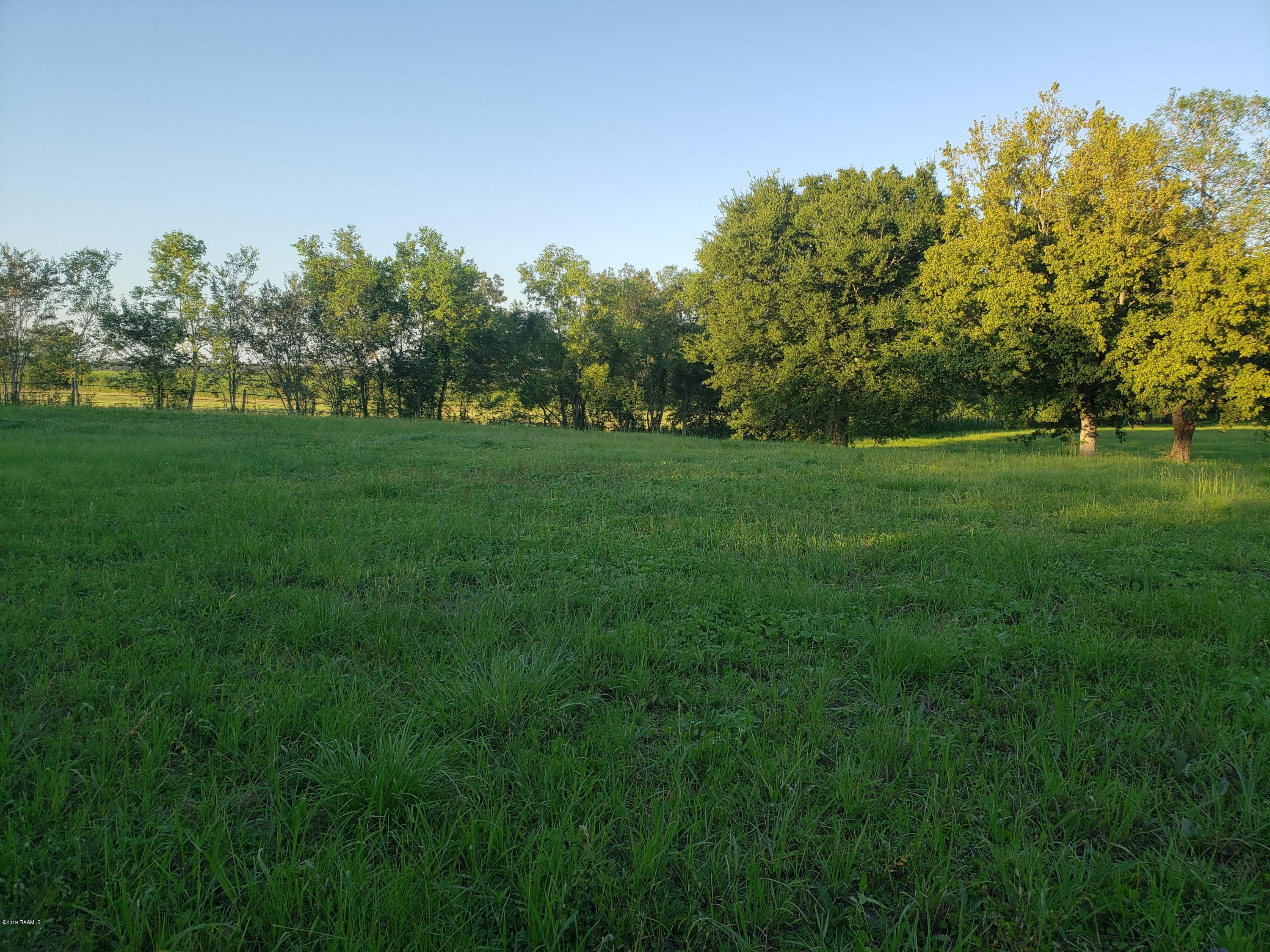 1272 George Dupuis Road Breaux Bridge, LA 70517 - Photo 2 of 3 Gallery Image 2