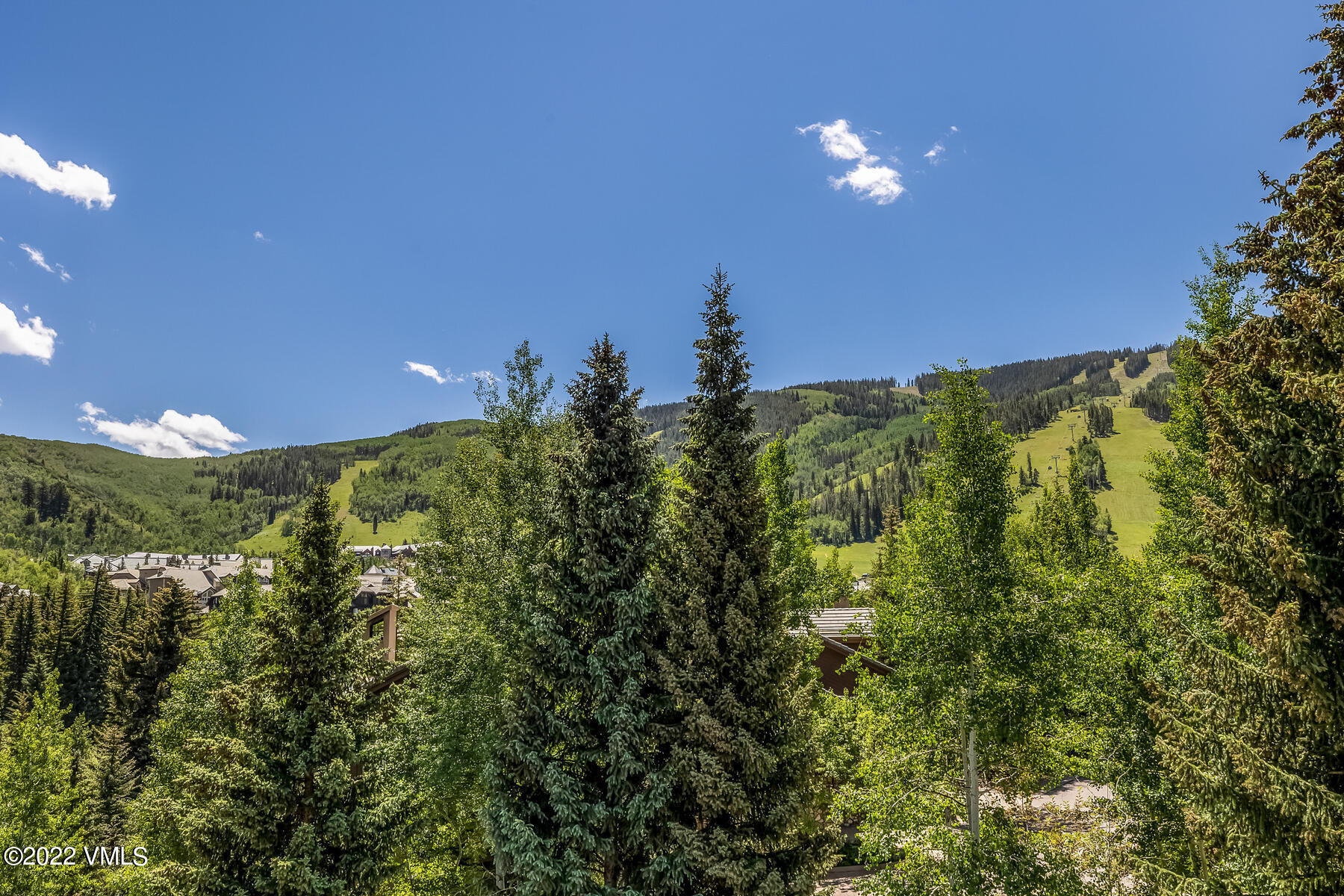 1120 Village Road, Unit 402 Beaver Creek, CO 81620 - Photo 10 of 46 a view of a big yard