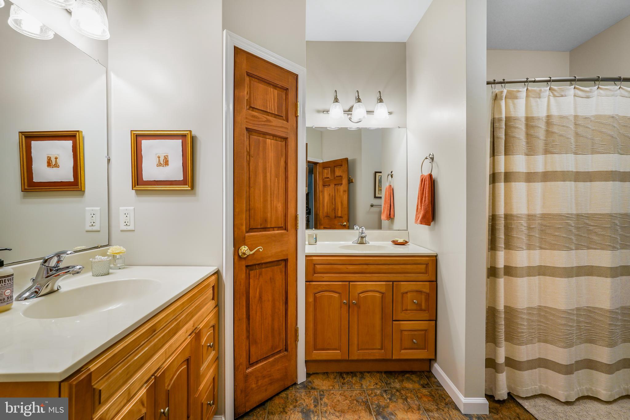 73 Dant Lane Elkton, MD 21921 - Photo 43 of 65 a bathroom with a sink mirror and a shower