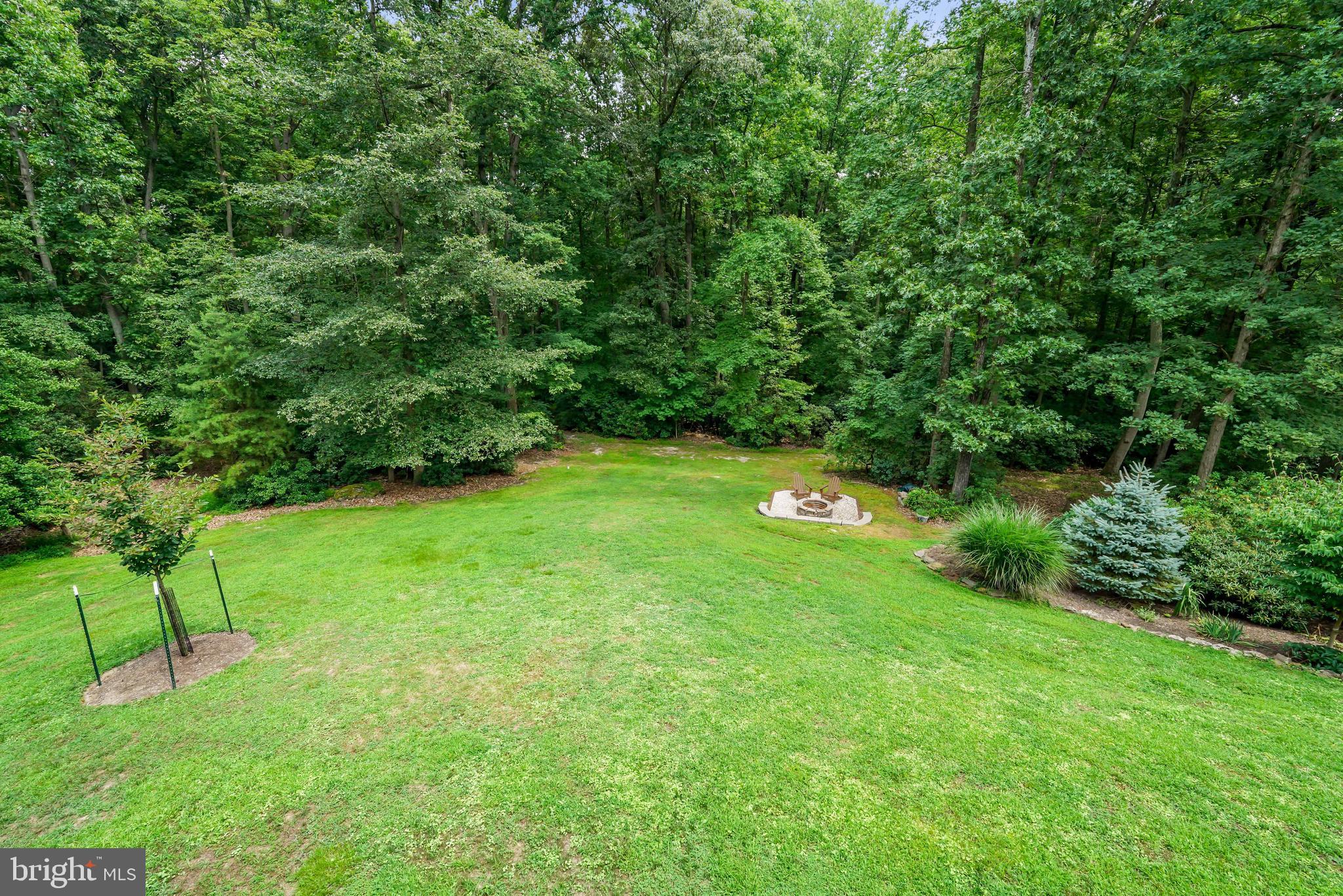 73 Dant Lane Elkton, MD 21921 - Photo 53 of 65 a lush green forest with lots of trees