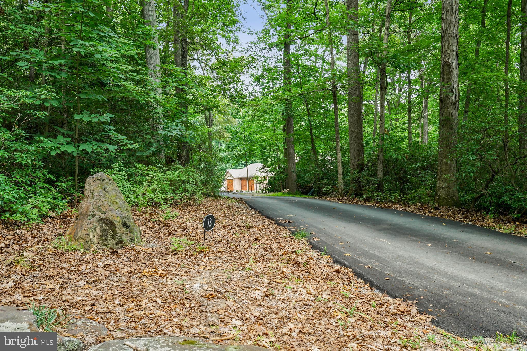 73 Dant Lane Elkton, MD 21921 - Photo 58 of 65 a view of a yard with plants and large trees