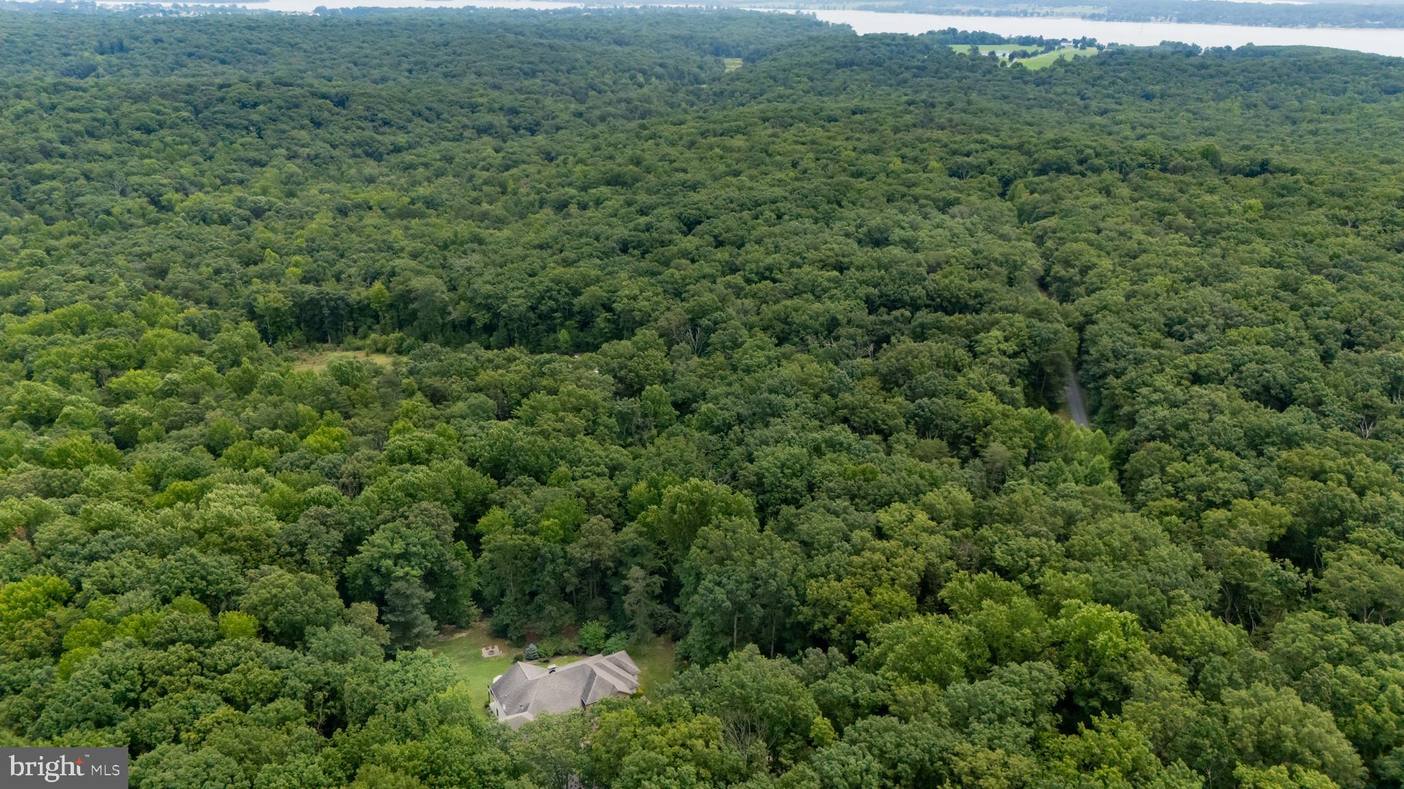 73 Dant Lane Elkton, MD 21921 - Photo 63 of 65 a view of a forest with a street
