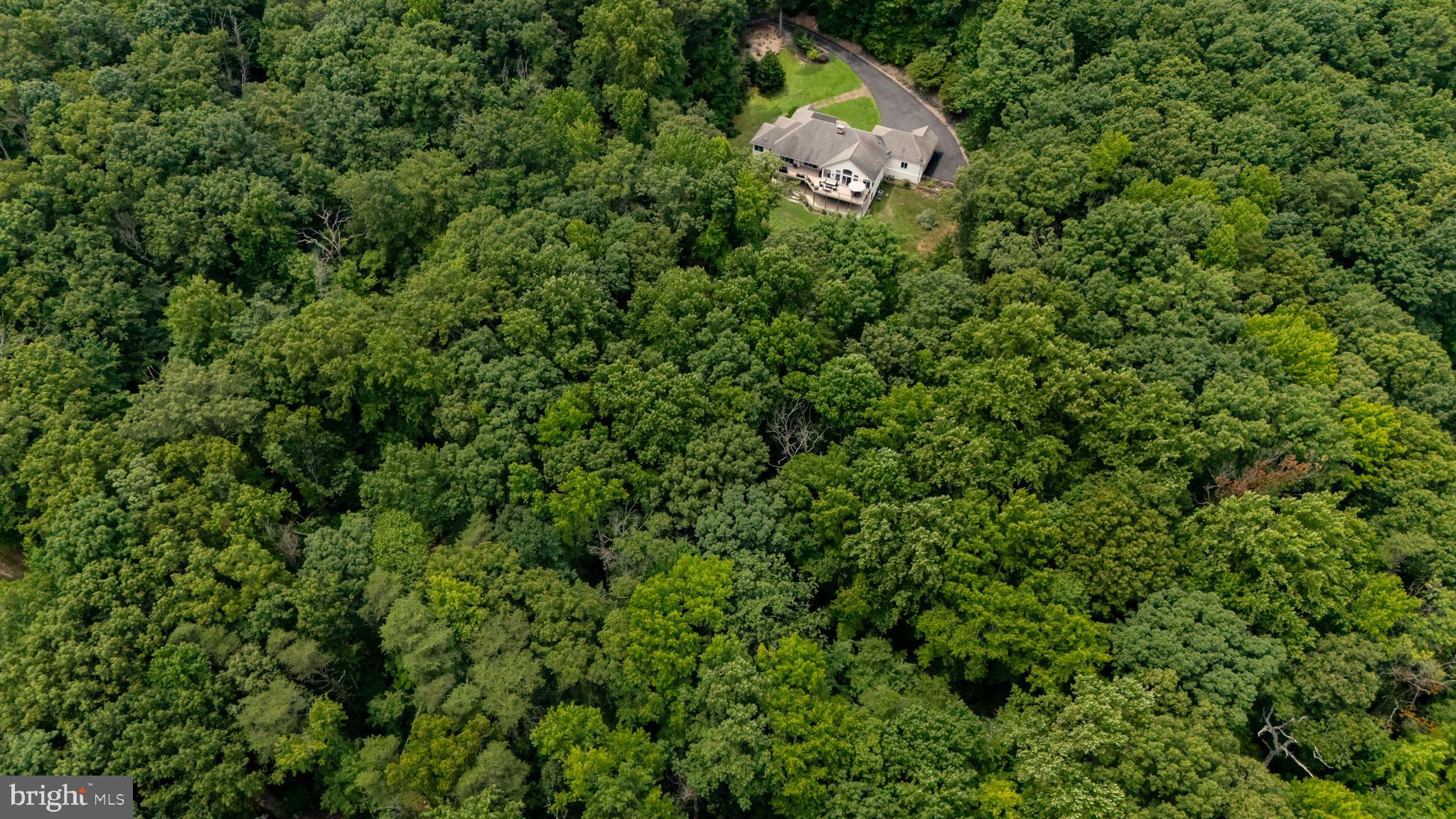 73 Dant Lane Elkton, MD 21921 - Photo 65 of 65 an aerial view of a house with a yard