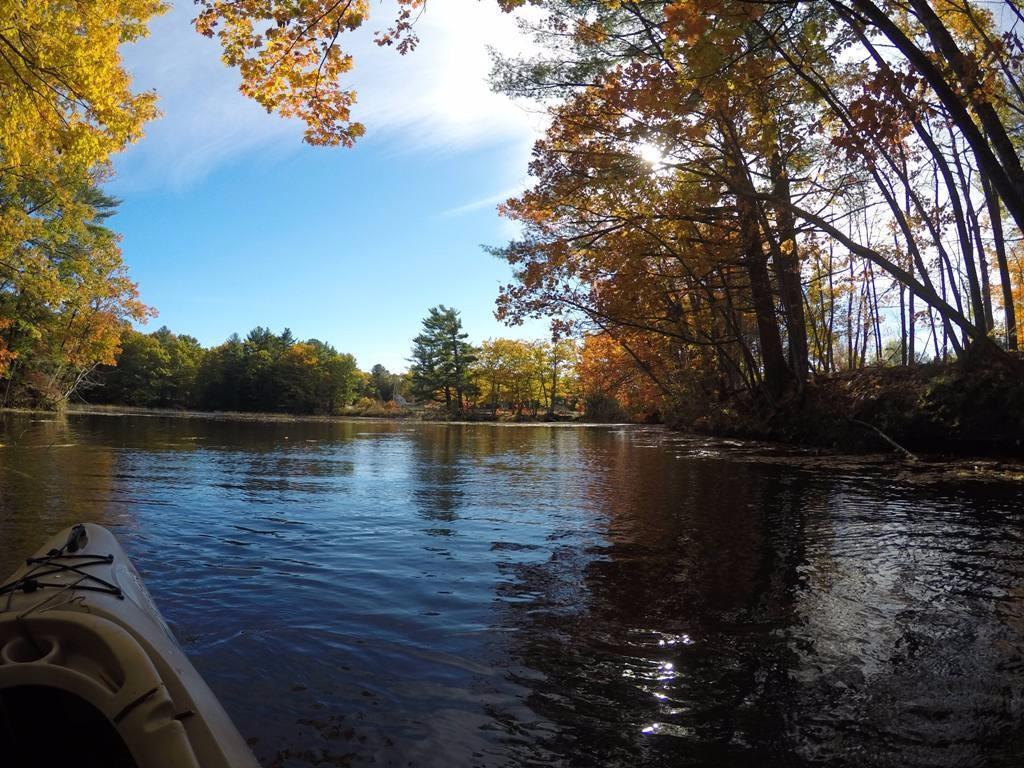 291 North Bath Road Bath, ME 04530 - Photo 21 of 34 Property lies on Right Side Tree Line
