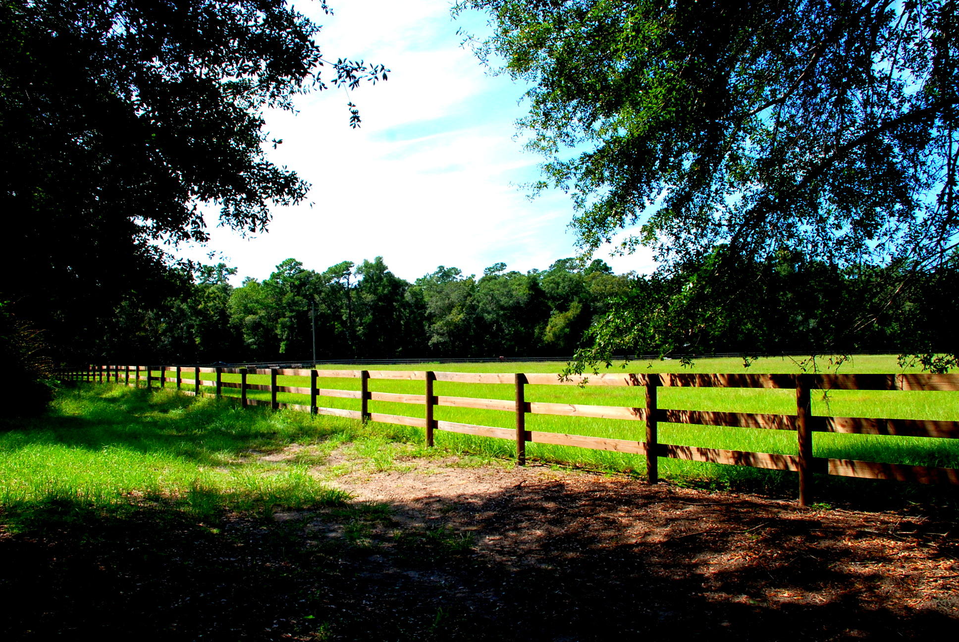 28 Middleton Oaks Road Charleston, SC 29414 - Photo 11 of 64 DSC_6063