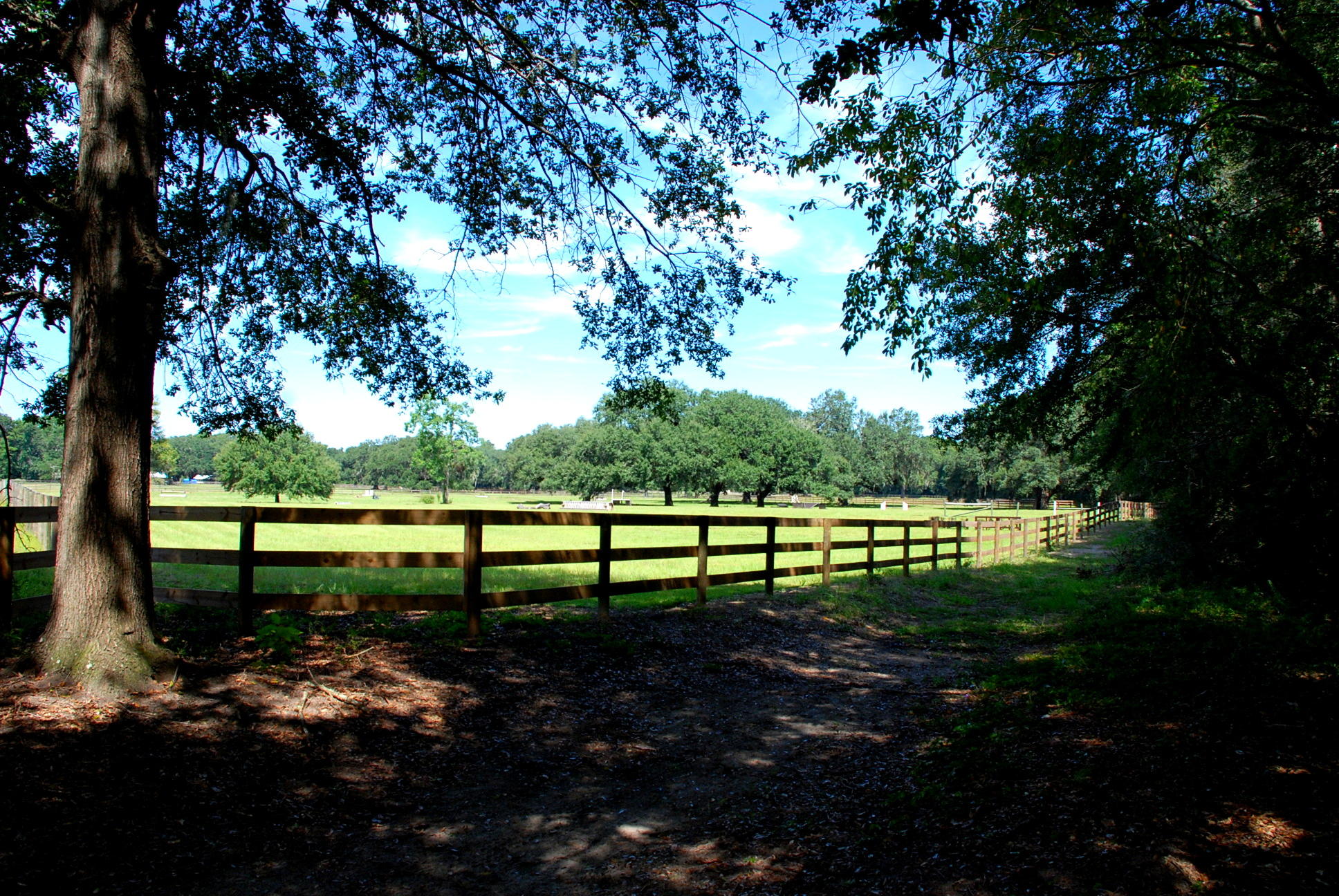 28 Middleton Oaks Road Charleston, SC 29414 - Photo 10 of 64 DSC_6062
