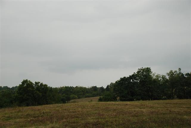 5844 Fords Mill Road Versailles, KY 40383 - Photo 50 of 58 Photo 50