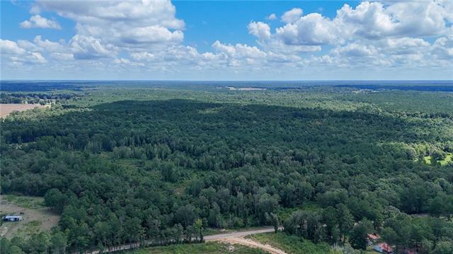 Tbd Martin Road Mount Hermon, LA 70450 - Photo 7 of 18 Gallery Image 7