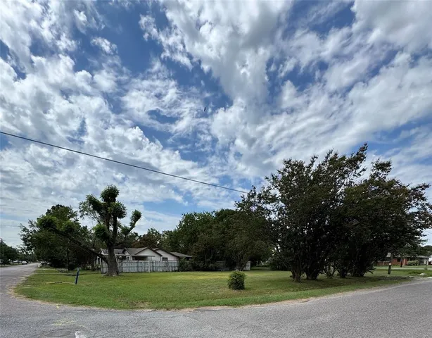 a big yard with lots of green space and trees