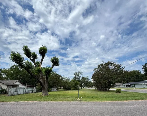 a view of a yard with a tree