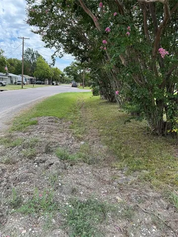 a picture of a yard and a large trees