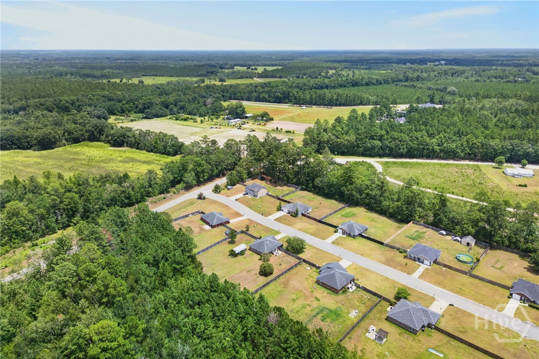 52 Pine View Road Southeast Ludowici, GA 31316 - Photo 29 of 29 Gallery Image 29