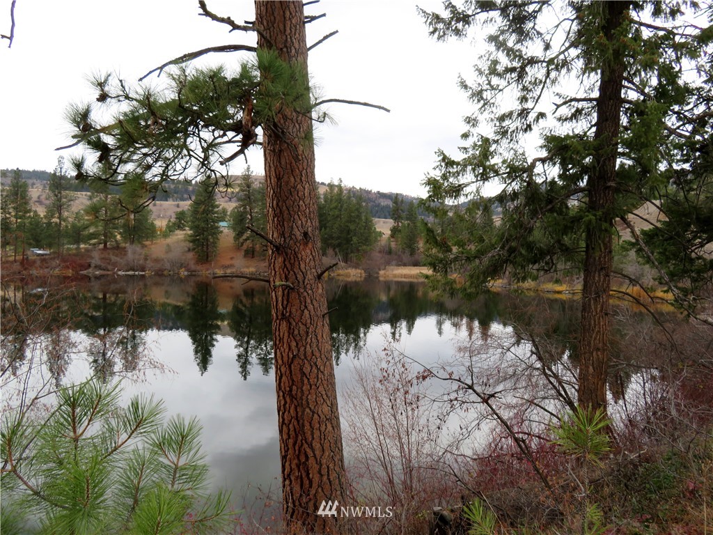 97 Kiwanis Road Republic, WA 99166 - Photo 16 of 24 Gallery Image 16