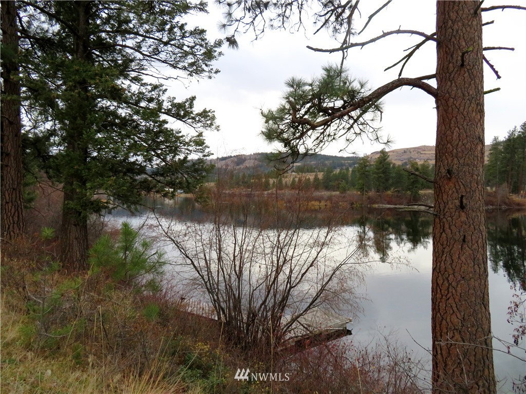 97 Kiwanis Road Republic, WA 99166 - Photo 17 of 24 Gallery Image 17