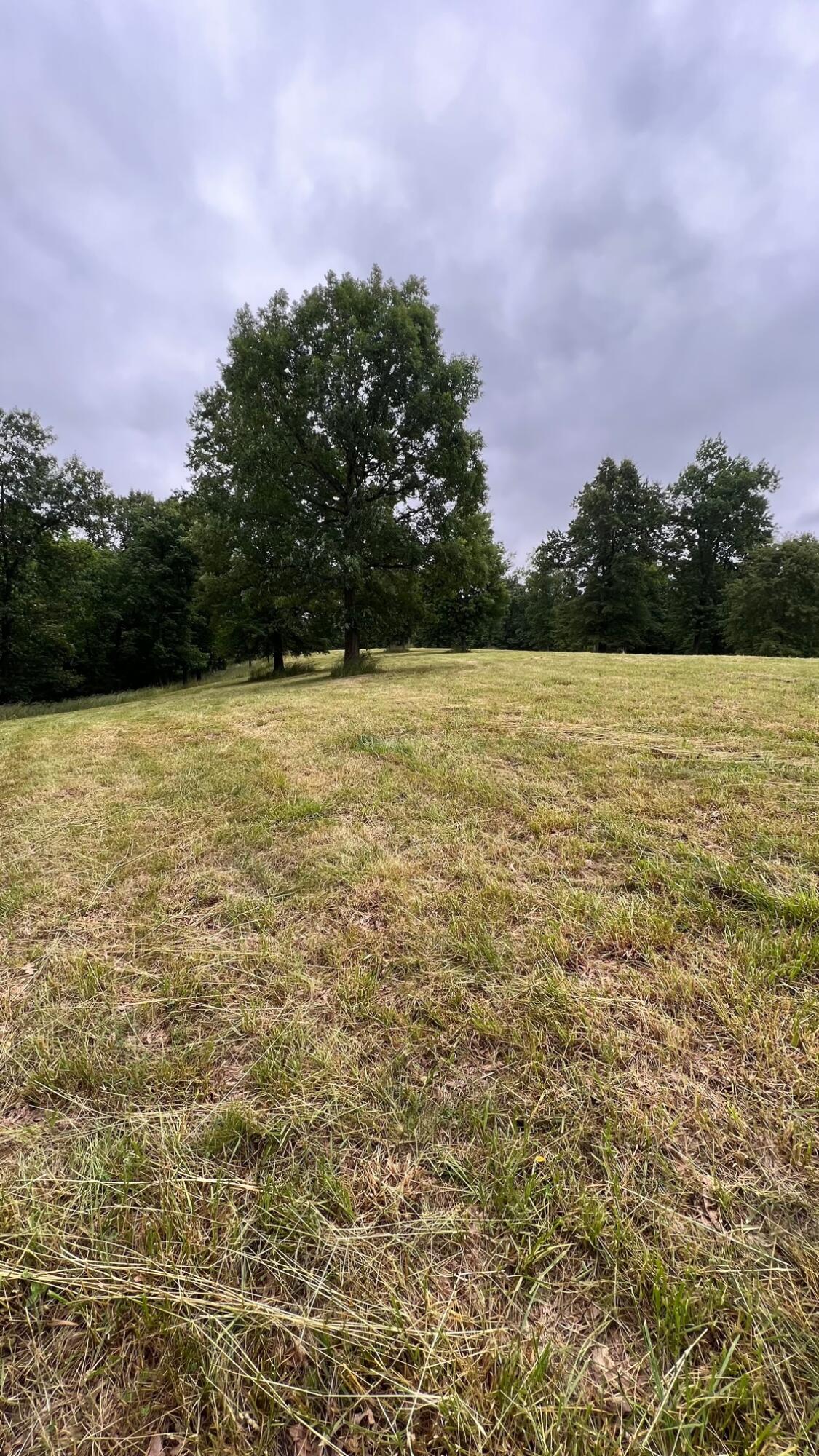 10885 B Napoleon-Zion Station Road Dry Ridge, KY 41035 - Photo 41 of 43