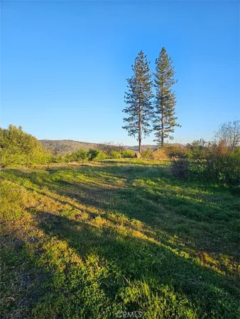 a view of a field with an ocean view