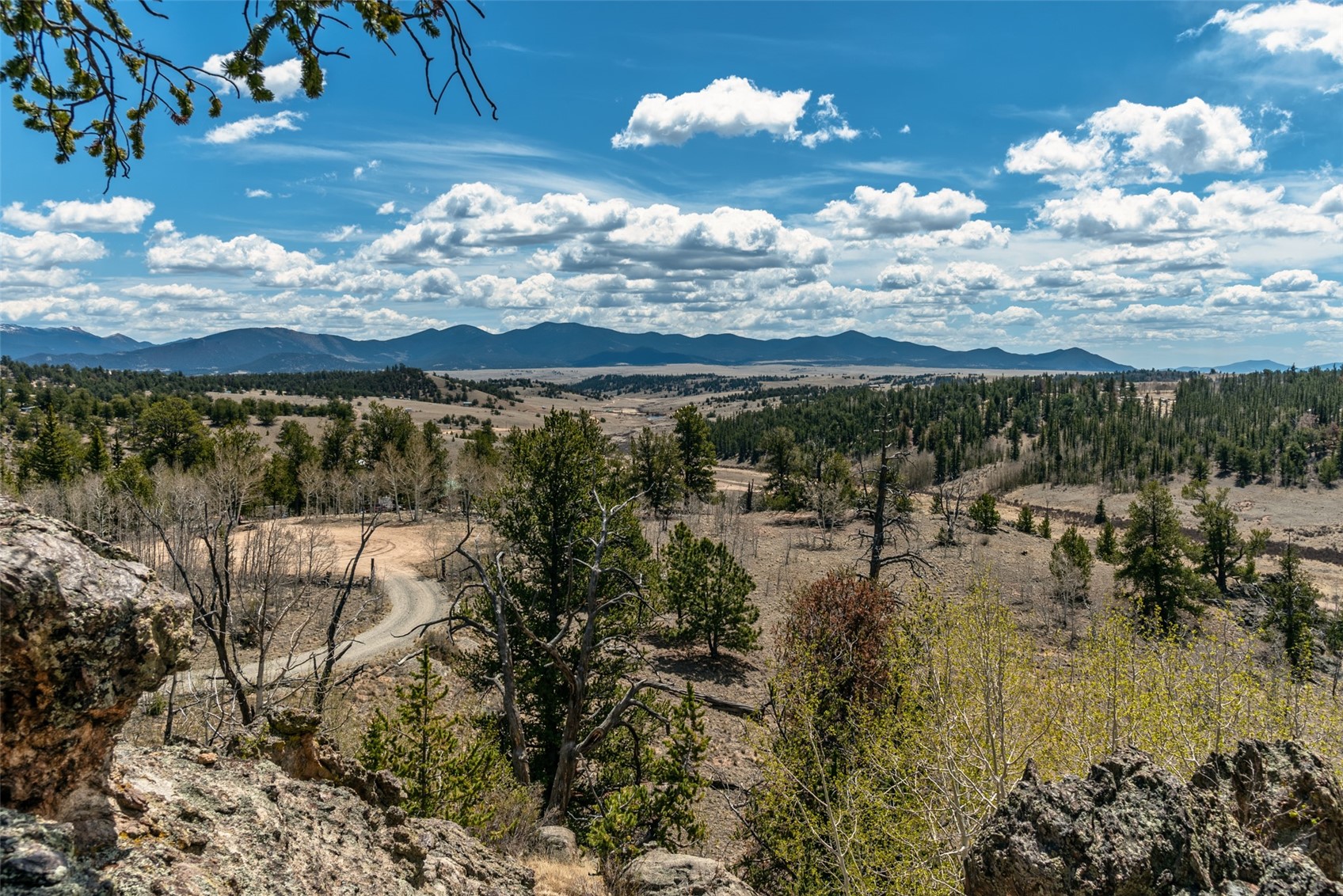 360 Musket Lane Como, CO 80456 - Photo 40 of 46