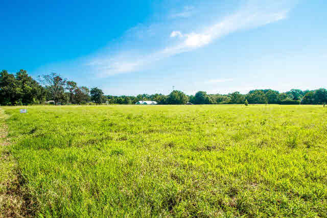 22296 Buck Road Robertsdale, AL 36567 - Photo 5 of 7