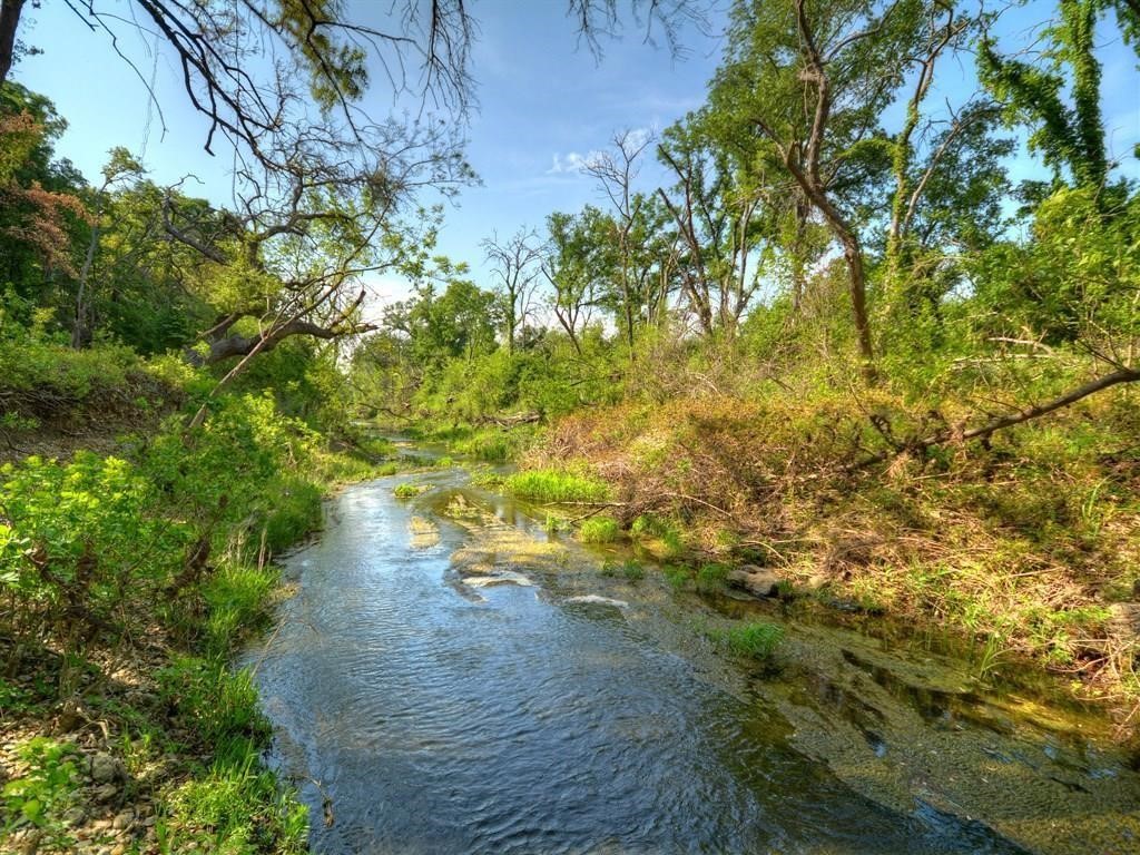 a view of yard from a tree