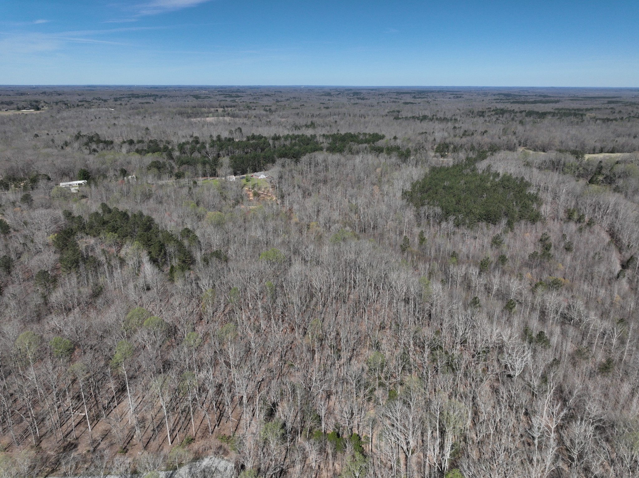 0 Logger Lane Cedar Grove, TN 38321 - Photo 3 of 9