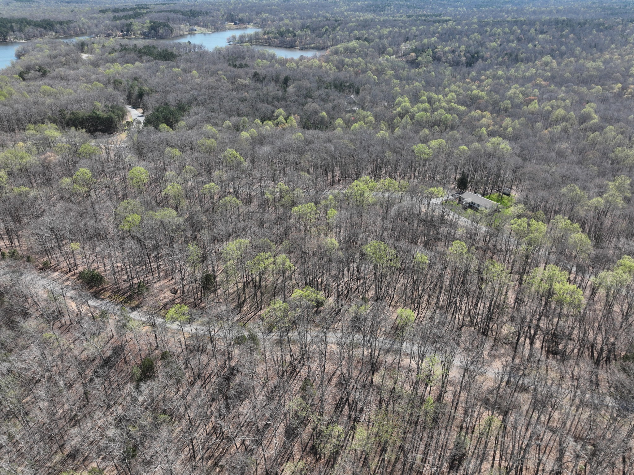 0 Logger Lane Cedar Grove, TN 38321 - Photo 4 of 9