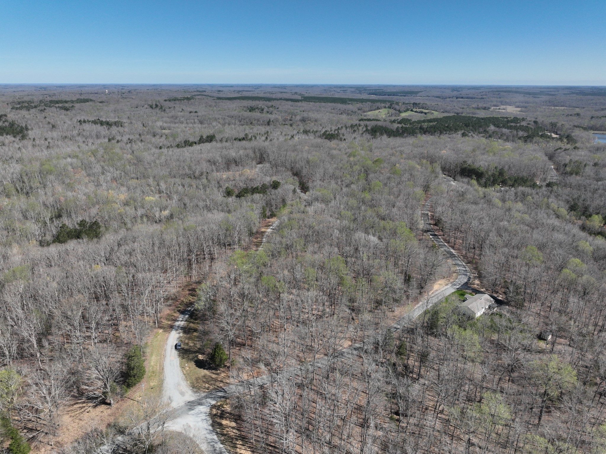 0 Logger Lane Cedar Grove, TN 38321 - Photo 6 of 9