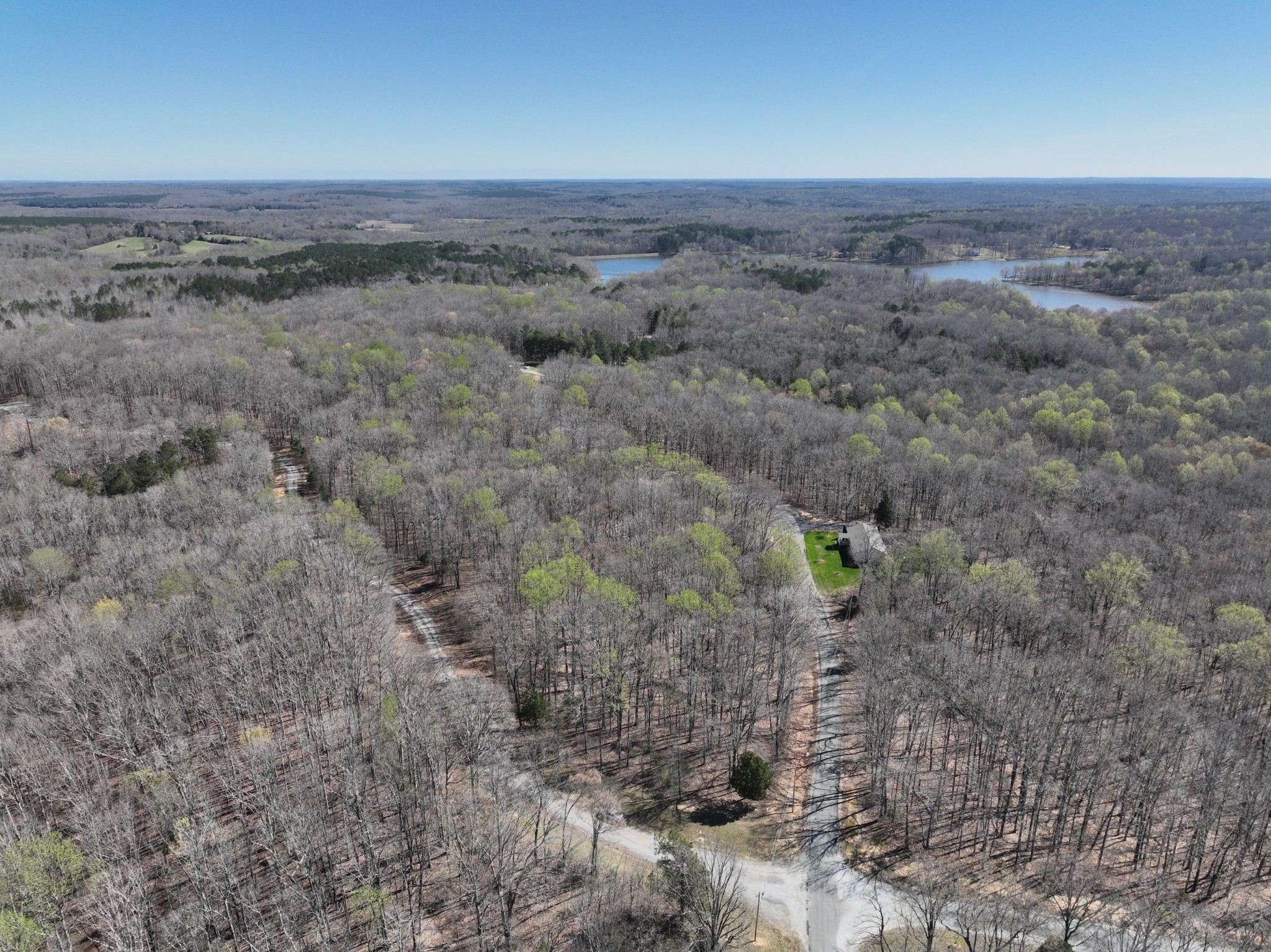 0 Logger Lane Cedar Grove, TN 38321 - Photo 7 of 9