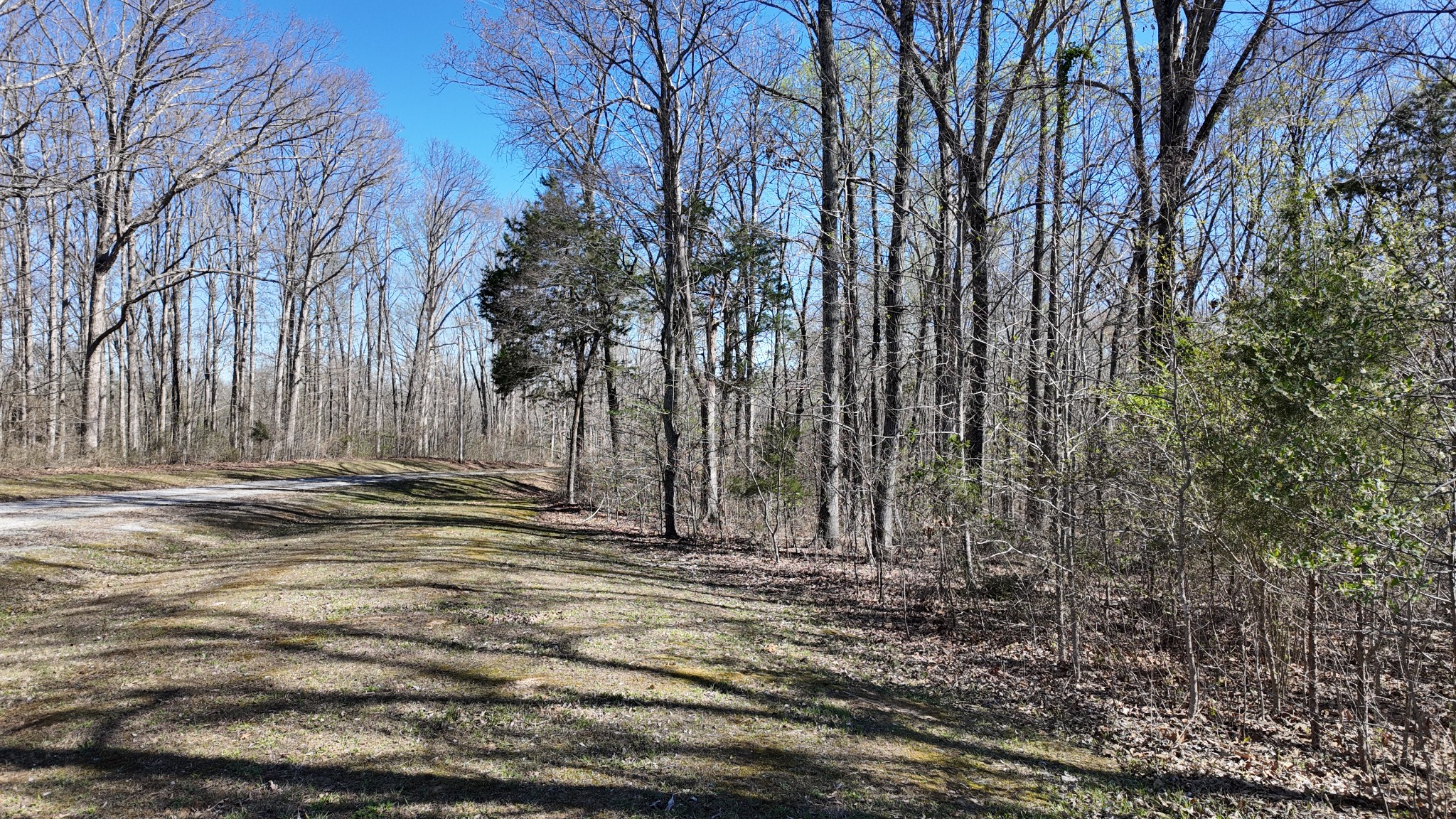 0 Logger Lane Cedar Grove, TN 38321 - Photo 8 of 9