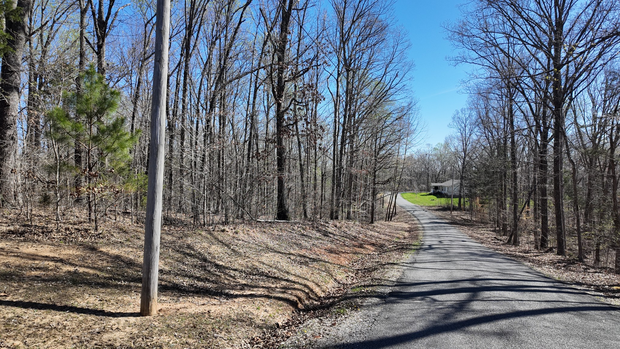 0 Logger Lane Cedar Grove, TN 38321 - Photo 9 of 9