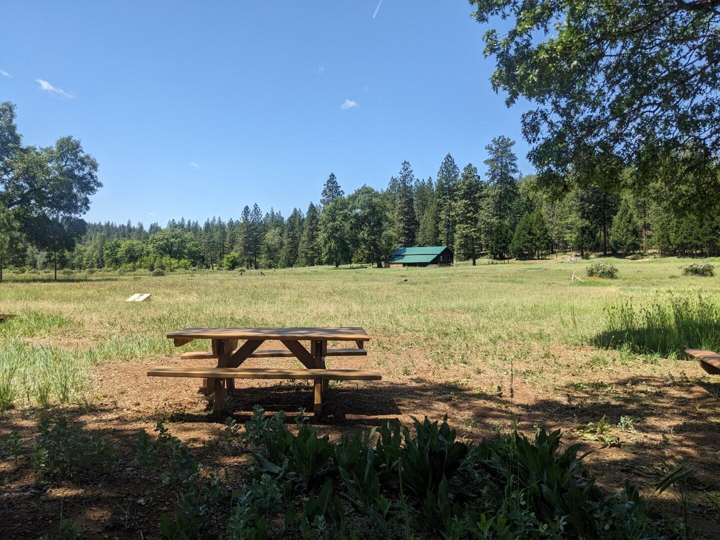 29276 Bullskin Ridge Road Oak Run, CA 96069 - Photo 97 of 113 BULLSKIN RIDGE RANCH
