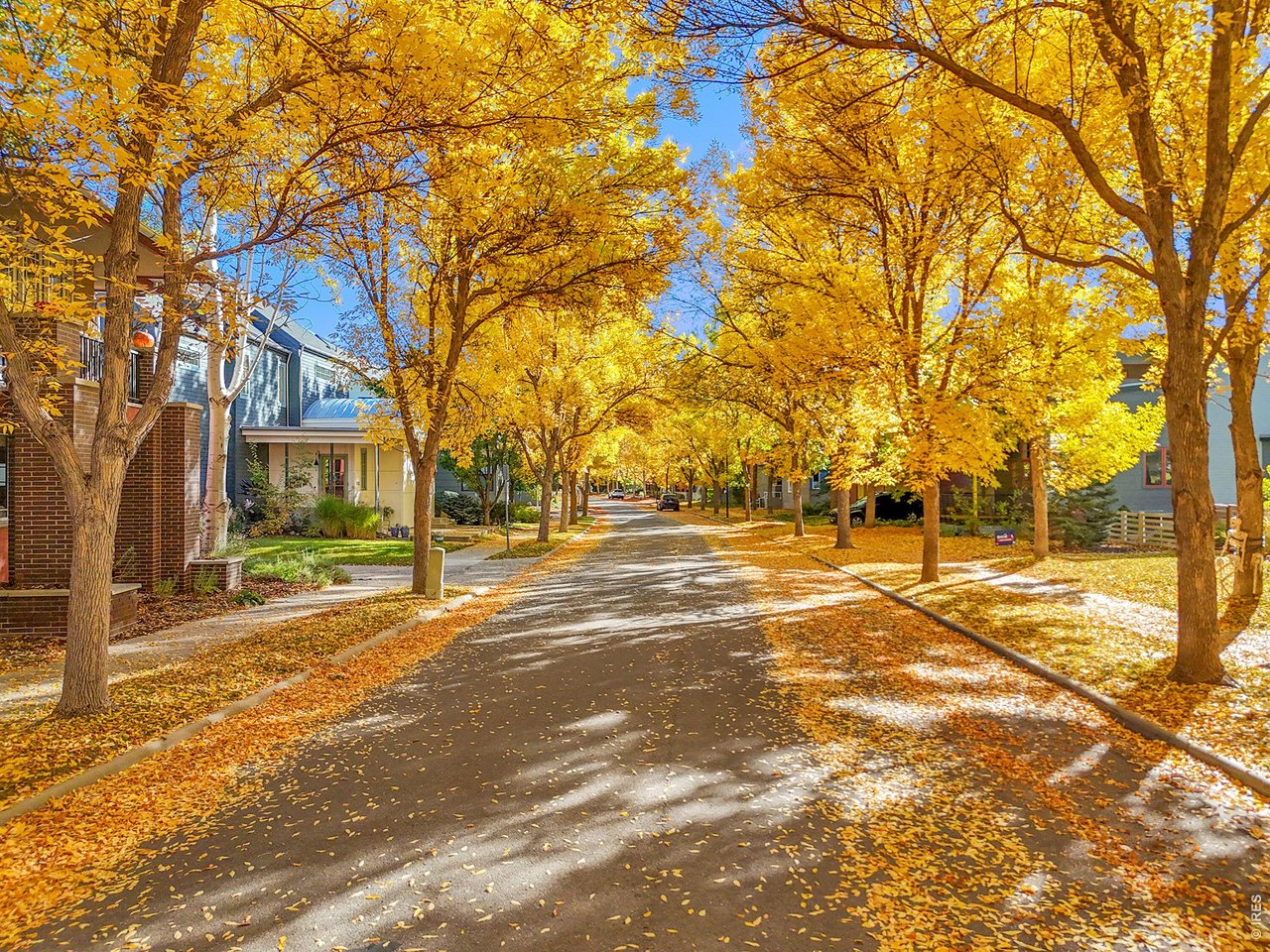 821 Incorrigible Circle Longmont, CO 80504 - Photo 37 of 43 Fall in Prospect
