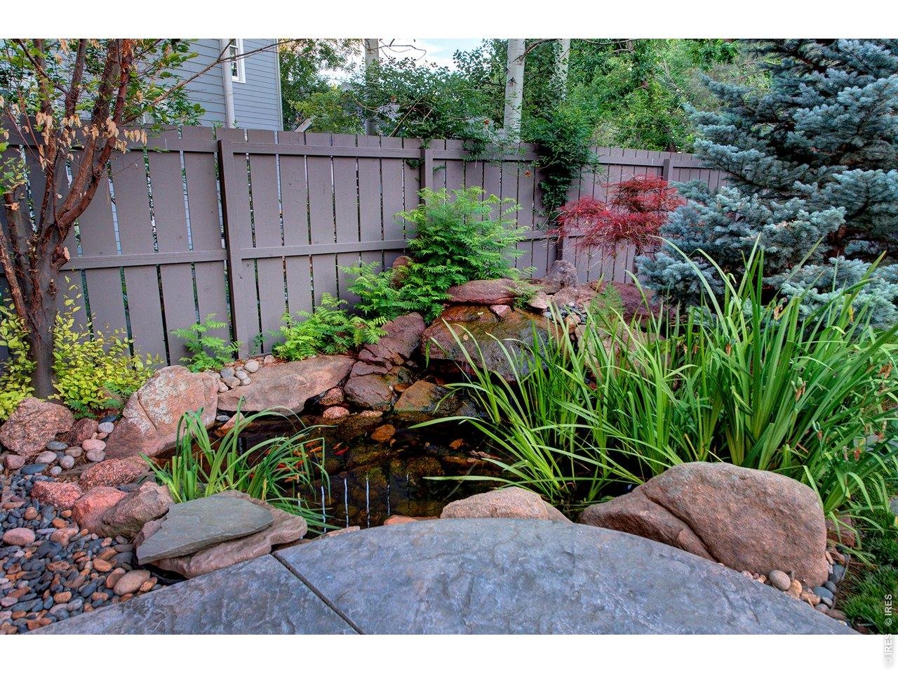 821 Incorrigible Circle Longmont, CO 80504 - Photo 7 of 43 Serene Koi Pond in Backyard